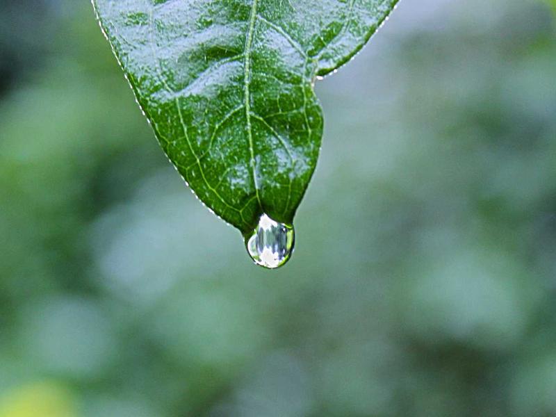 TikTok全套教程<br>注册/养号/矩阵/变现/解封一站式